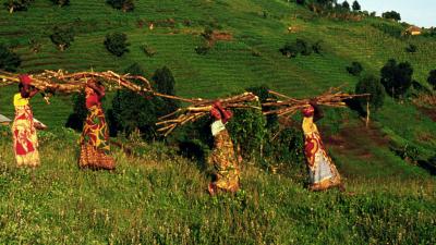 Women gathering wood on the edge of Virunga National Park